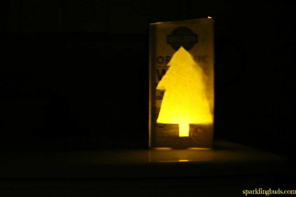 science experiment on light